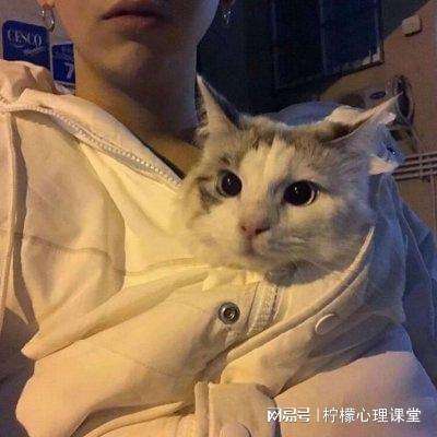 救救小小人手游下载