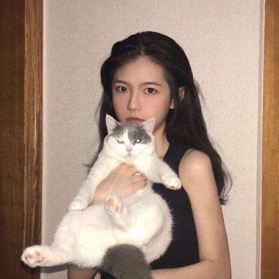 泰坦之战游戏下载